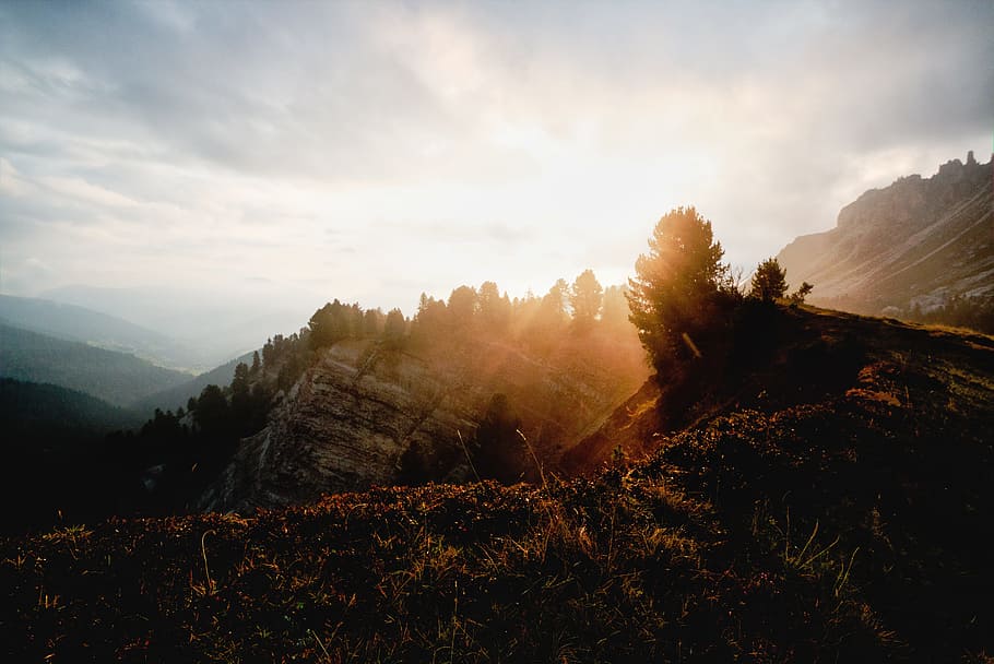 Mountain Ranges during Golden Hour, clouds, dawn, fog, forest HD wallpaper