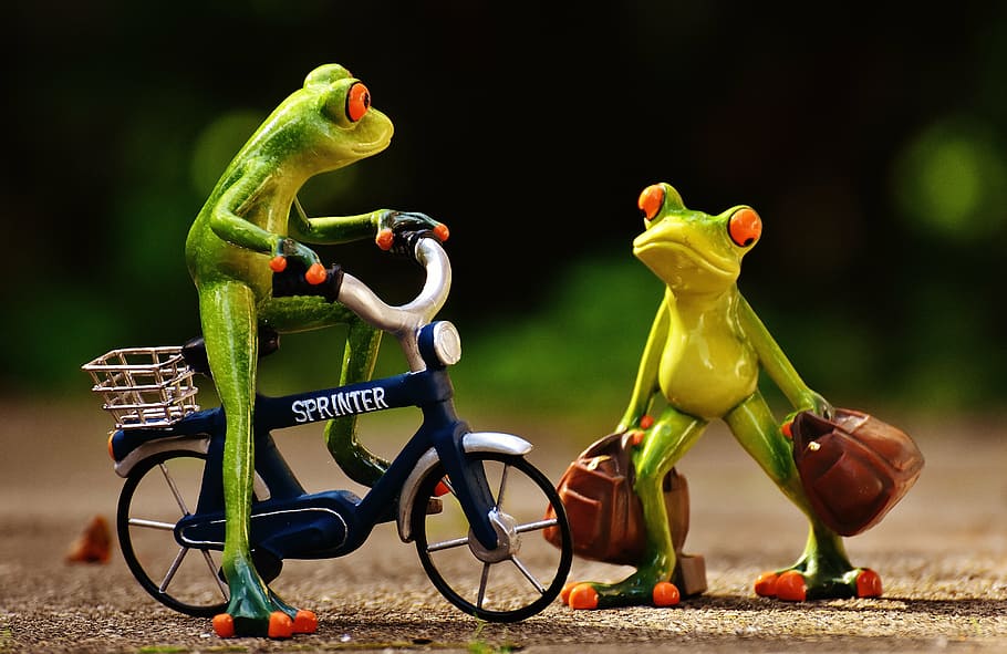 frog riding bicycle, frogs, arrive, bike, holdall, travel, cute, HD wallpaper