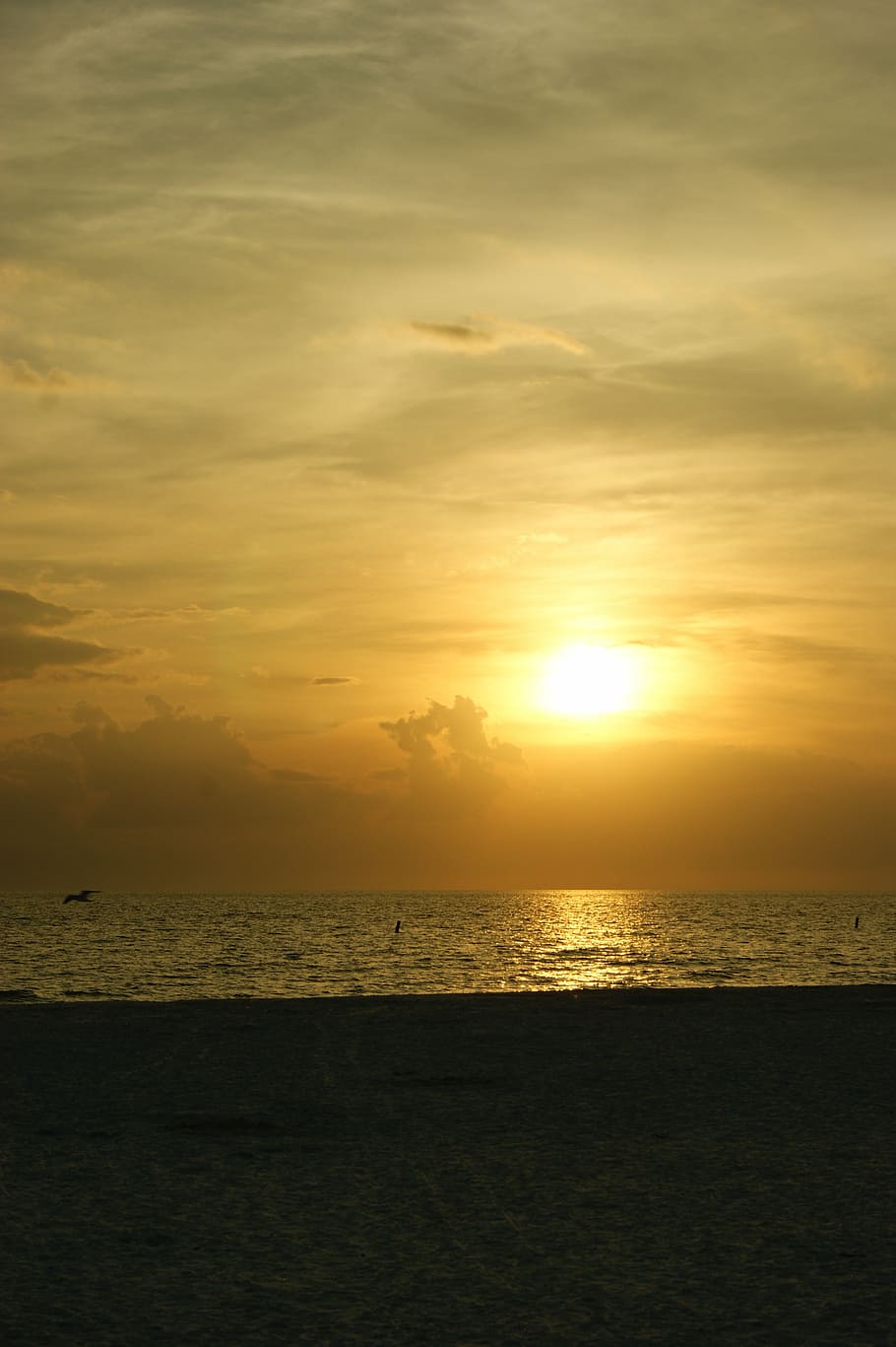 abendstimmung, usa, sunset, sky, water, sea, scenics - nature HD wallpaper
