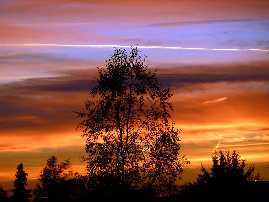 silhouette of trees, sunset, colorful, weather, sky, clouds HD wallpaper