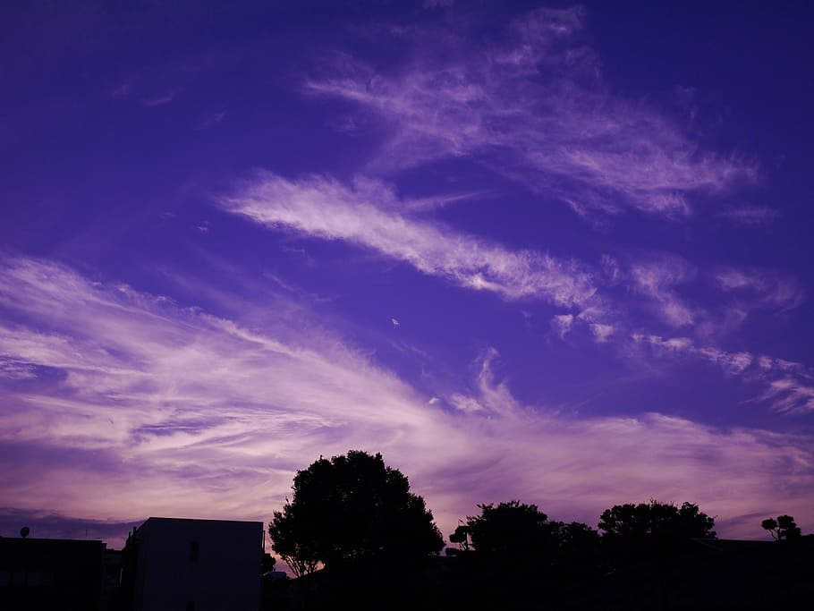 evening, views, sky, cloud - sky, tree, plant, silhouette, nature HD wallpaper