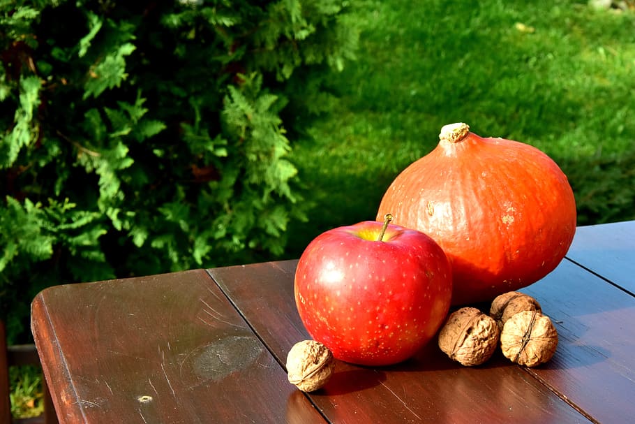 autumn, pumpkin, walnut, pumpkins, apple, halloween, ornament HD wallpaper