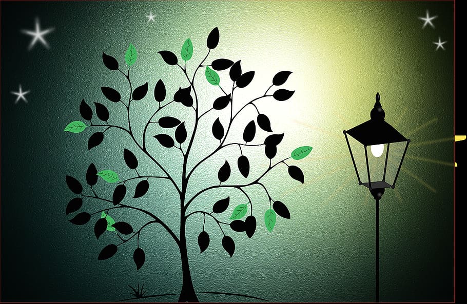 background, evening sky, night sky, lantern, tree, star, lighting equipment HD wallpaper