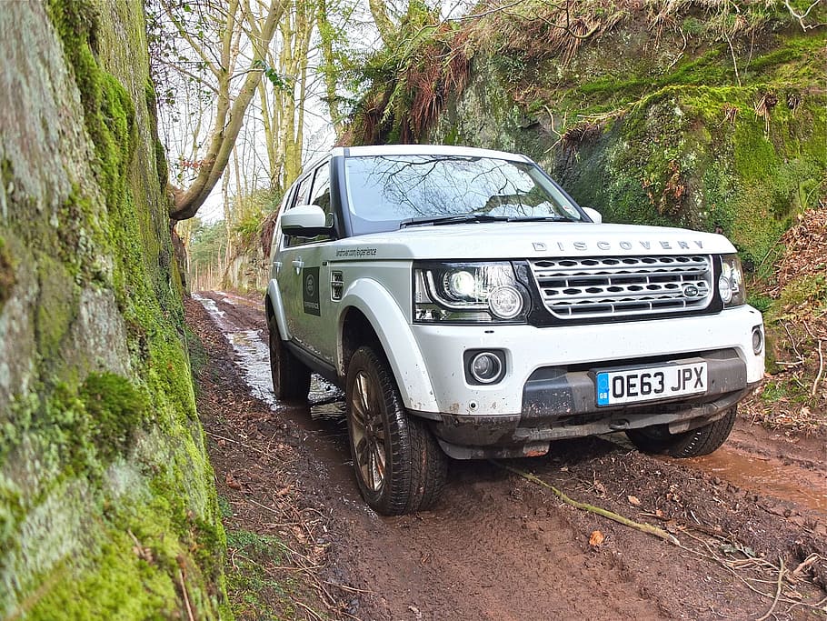 Range Rover, Off Road, England, car, transportation, tree, day HD wallpaper