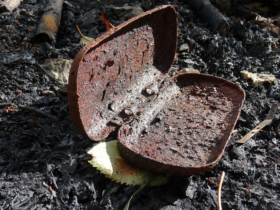 burnt glasses case, empty, garden, metal, rusty, close-up, day HD wallpaper
