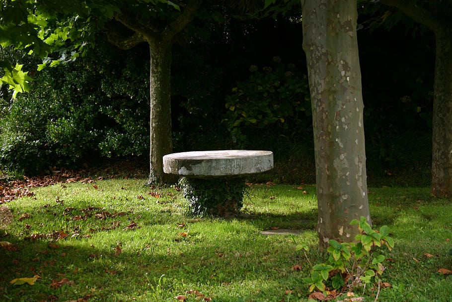 Stone Table, Grass, Nature, Green, spring, lawn, vegetable HD wallpaper