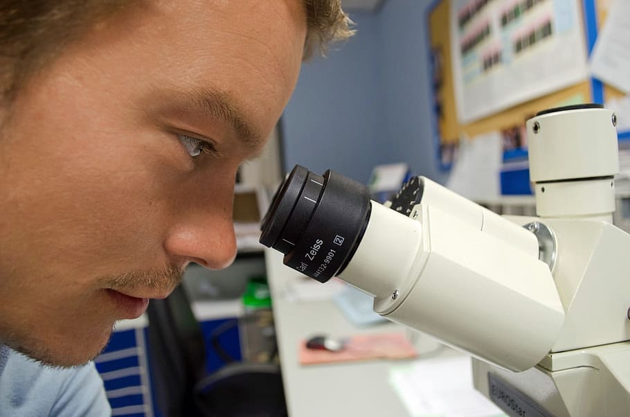 photo of man looking at microscope, people, scientist, white