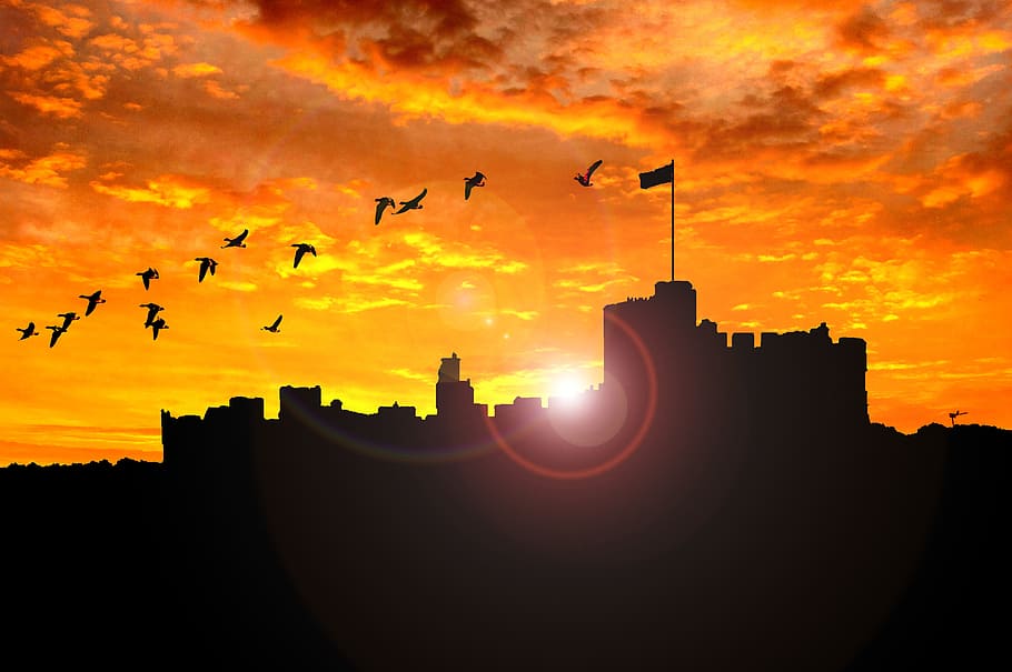 Alnwick, Castle, Sunset, silhouette, bird, flying, animal themes HD wallpaper