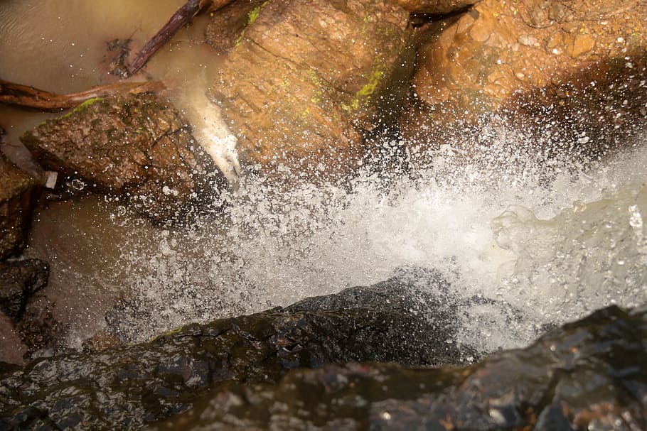 Forest, Nature, Waterfall, outdoors, splashing, river, wet HD wallpaper