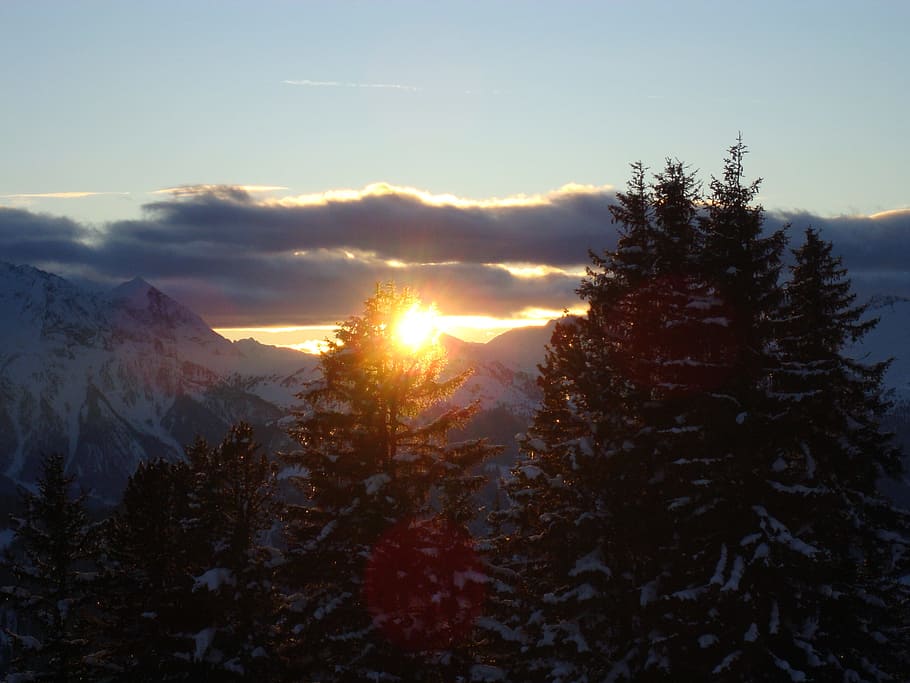 nature, clouds, sunshine, tree, winter, sunset, wintry, snow HD wallpaper