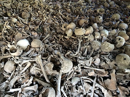 gray bone lot, skull, bones, weird, skull and crossbones, dead HD wallpaper