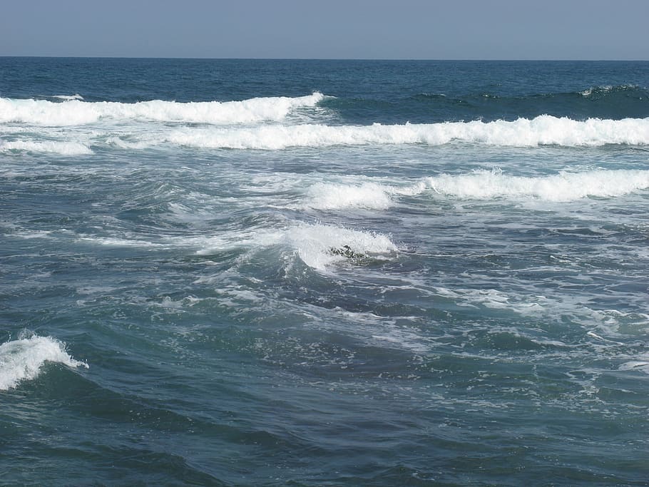 waves, summer, surf, surface, seaside, water, holidays, beauty in nature HD wallpaper