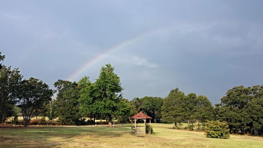 Rainbow, Gazebo, Trees, over trees, nature, rural Scene, landscape HD wallpaper