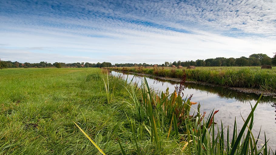 Blockland, Bremen, Northern Germany, moor, leisure, bike ride, HD wallpaper