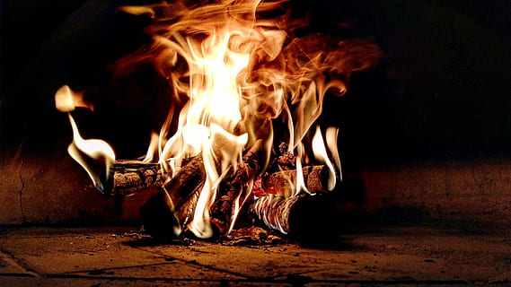Fire, selective focus photography of bonfire, burning log, heat HD wallpaper