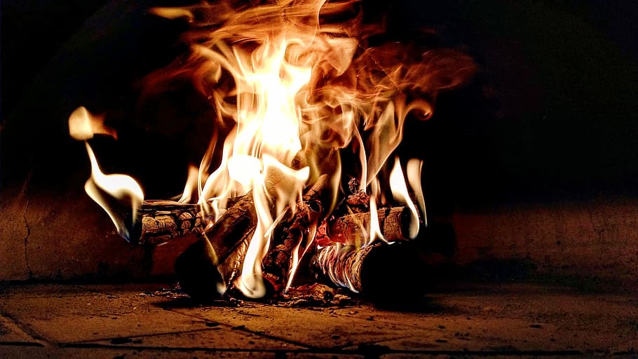 Fire, selective focus photography of bonfire, burning log, heat HD wallpaper