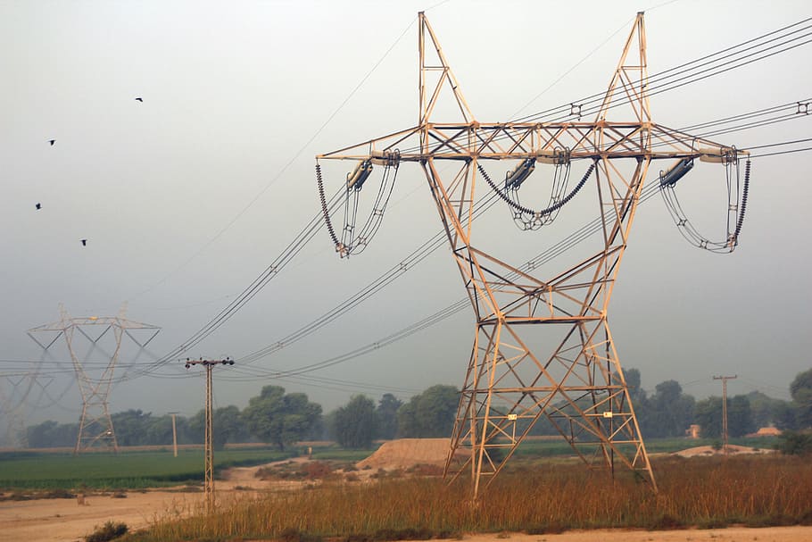 electric, pylon, voltage, wires, morning, trees, fog, birds HD wallpaper