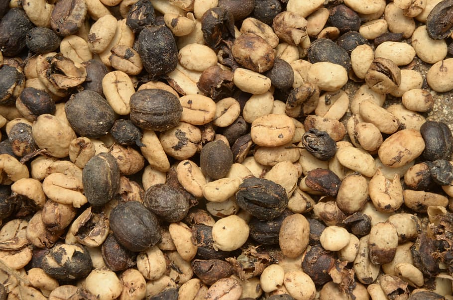 coffee, textures, nature, full frame, large group of objects HD wallpaper
