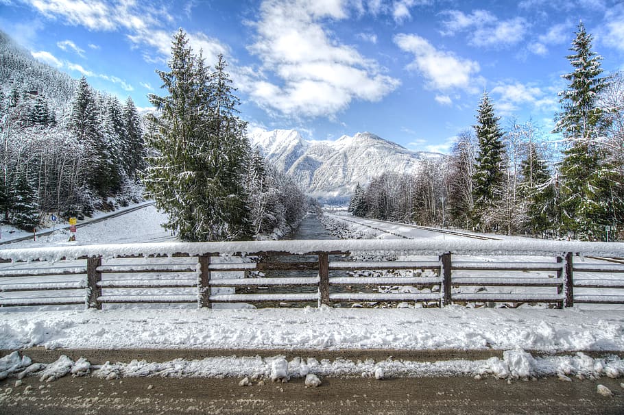Winter, Landscape, Stacked, Focus, Bridge, stacked focus, pines HD wallpaper