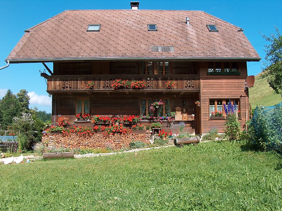 farmhouse, geranium, rustic, old house, architecture, built structure HD wallpaper