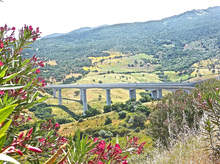 bridge, traverse, connect, link, crossing, nature, bridge - Man Made Structure HD wallpaper