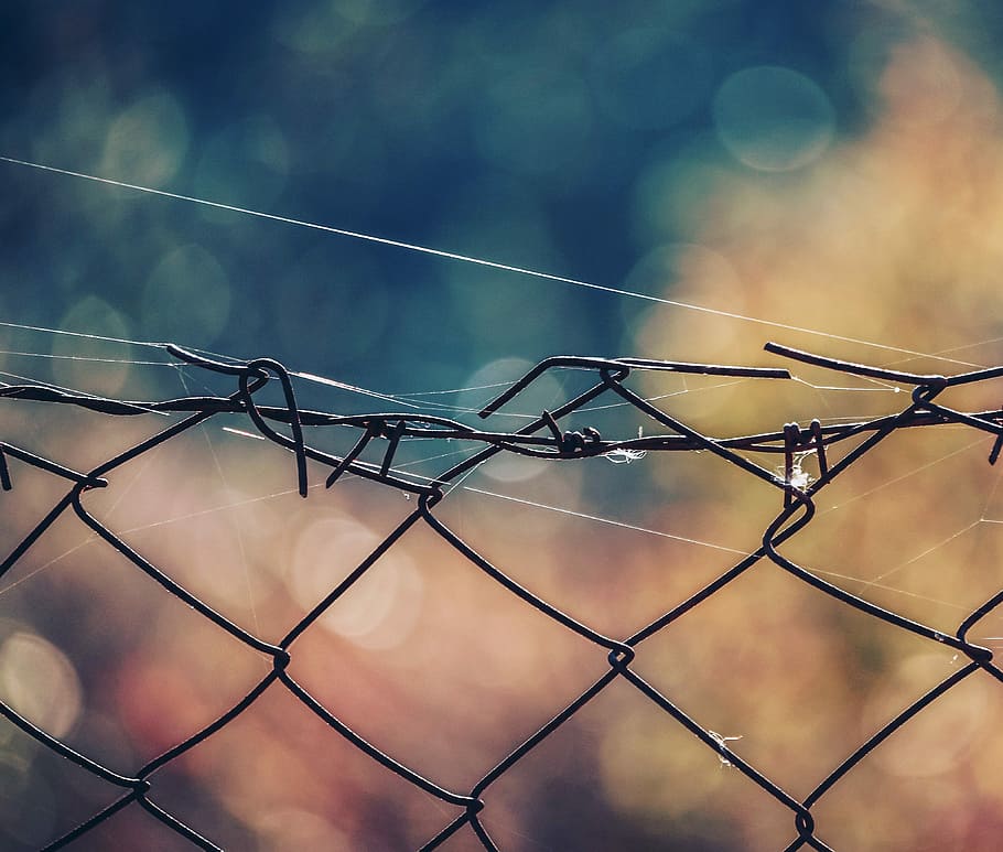 Depth of Field, shallow focus photography of cyclone fence, cobweb HD wallpaper