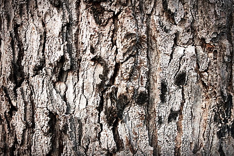 Soil, Rough, Earth, Split, Crack, ecology, summer, broken, texture HD wallpaper