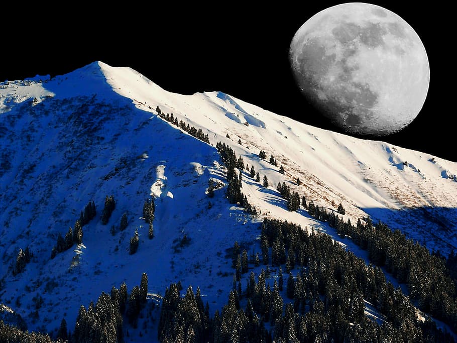 winter, moon, snow, cold, wintry, moonlight, mystical, lighting HD wallpaper
