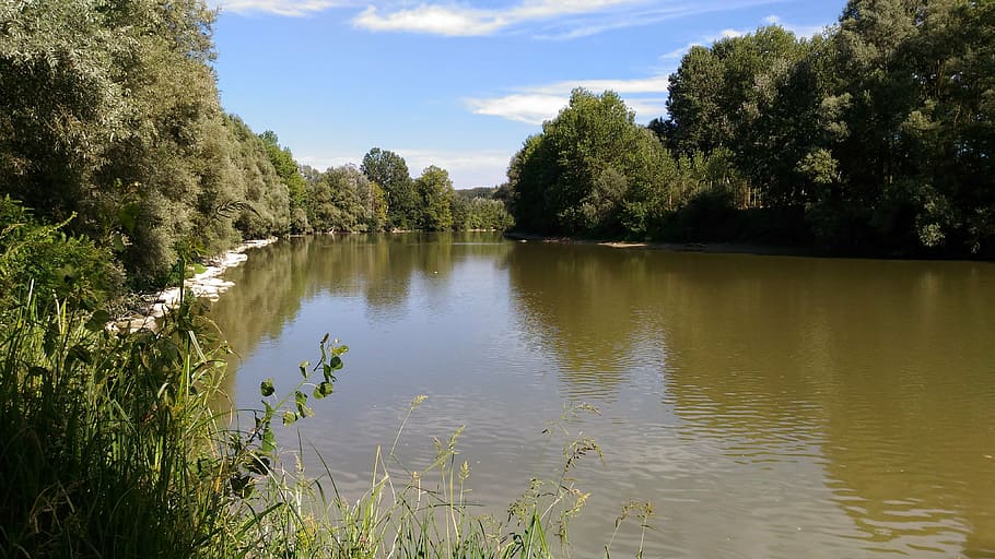 river, nature, water, plant, tree, reflection, tranquility HD wallpaper