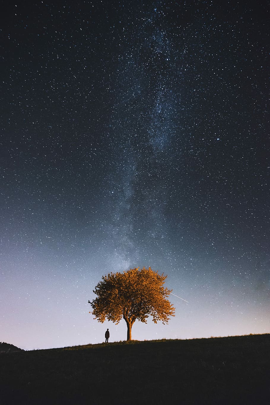 Where the real world ends., man standing under tree, sky, milky way HD wallpaper