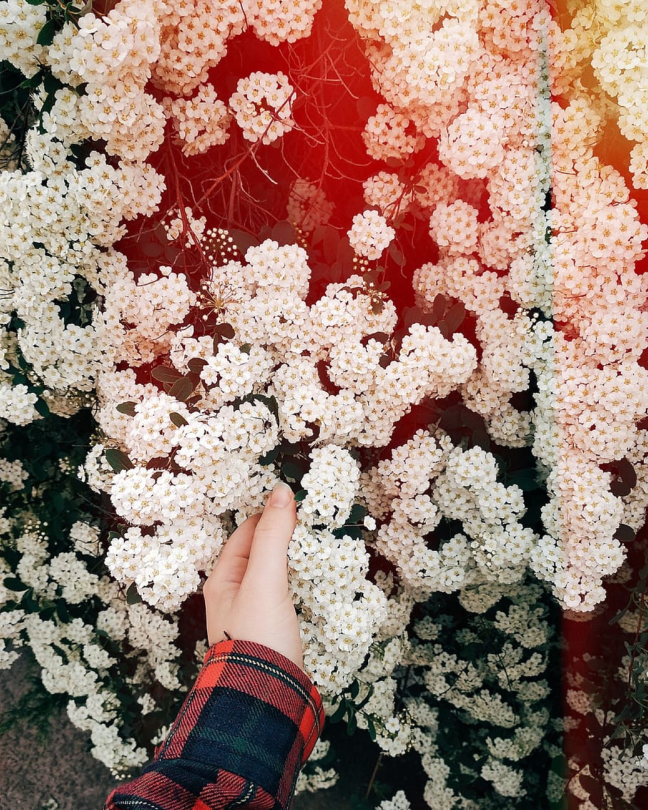 spring, flowers, mood, human body part, one person, real people HD wallpaper