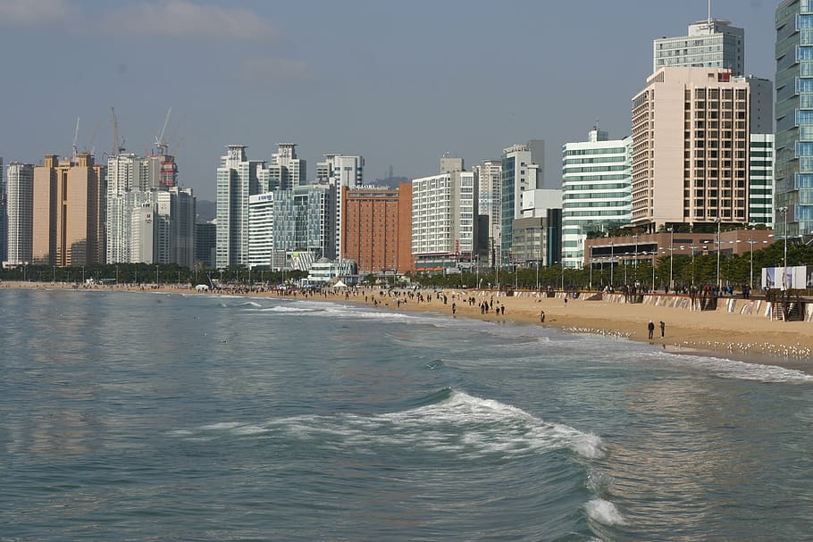 beach, sea, busan, coastal cities, asia, land, building exterior, HD wallpaper