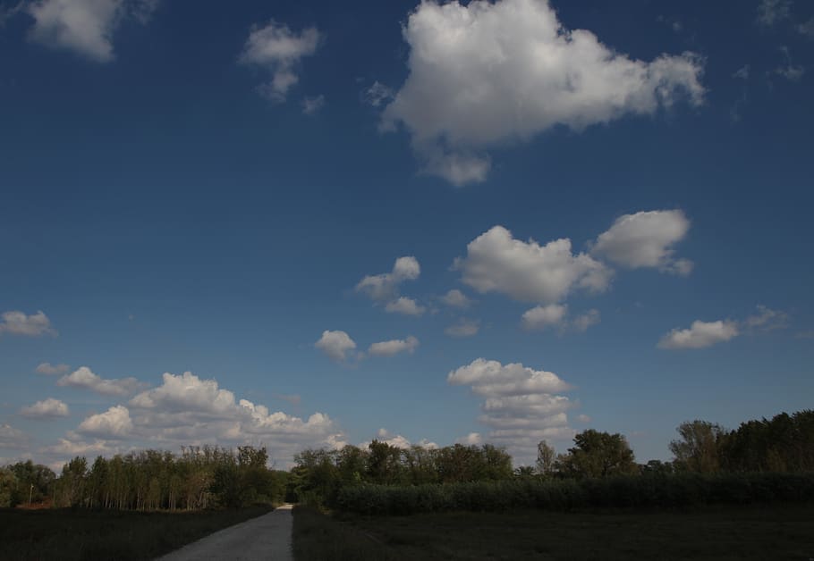 landscape, road, cloud, sky, fluffy, cloud - sky, nature, plant HD wallpaper