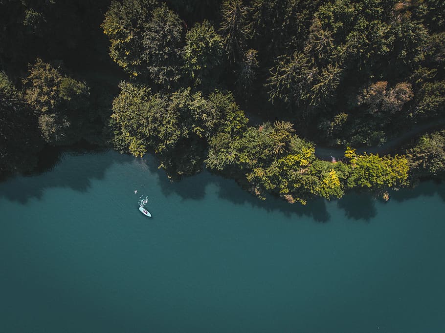 bird's eyeview photo of body of water near green leafed tres, aerial photography of white boat on large body of water beside woods