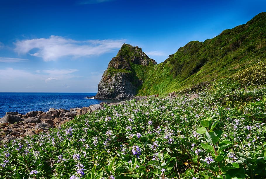 Coast, Rock, Itoshima, Irie, seaside green space, sky, scenics HD wallpaper