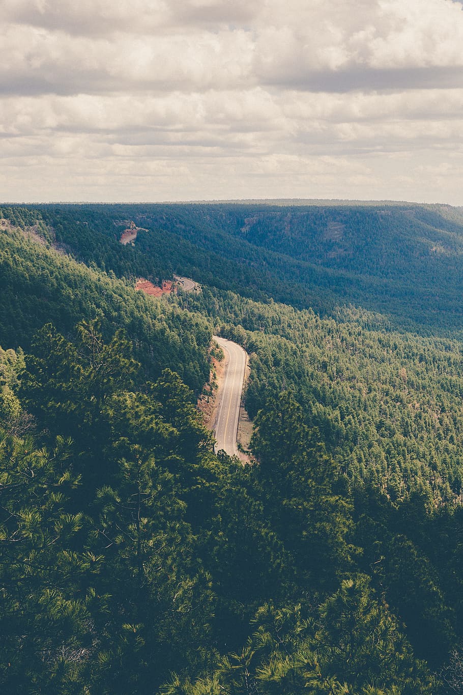 empty gray concrete road top surrounded with trees during daytime, aerial view of road and green trees HD wallpaper