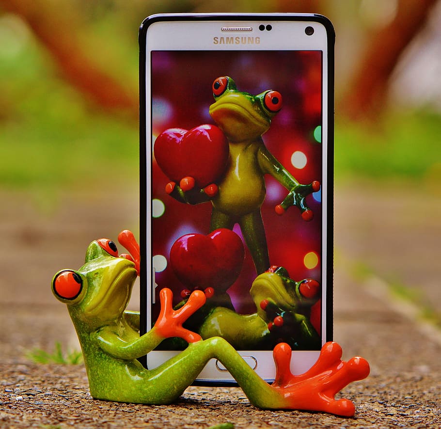 red-eyed frog smartphone wallpaper, figure, mobile phone, holder