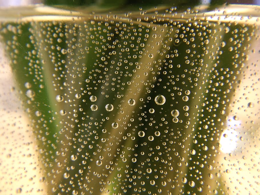 bubbles, water, green, stems, drop, wet, close-up, indoors HD wallpaper