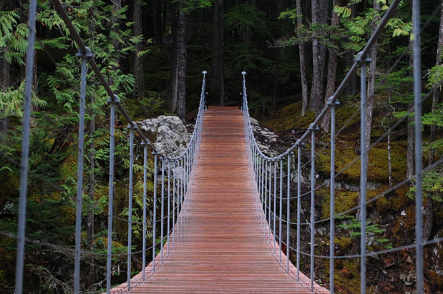 brown and gray hanging bridge during daytime, hike, cool, forest HD wallpaper