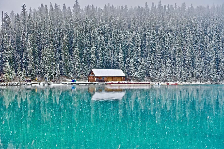 cold, snow, landscape, nature, cabin, daylight, environment, fir trees, HD wallpaper