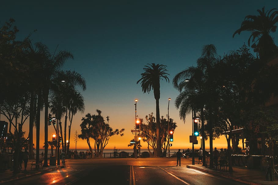 Santa Monica Sunset, silhouette photo of people walking on streets, HD wallpaper