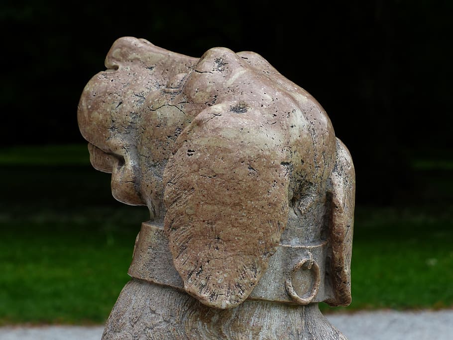 Dog, Statue, Stone, ssteinfigur, sculpture, history, ancient HD wallpaper