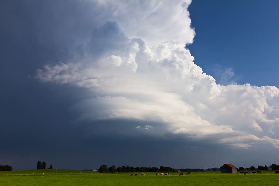 a thunderstorm cell, sunlight, blue sky, summer, weather, clouds form HD wallpaper