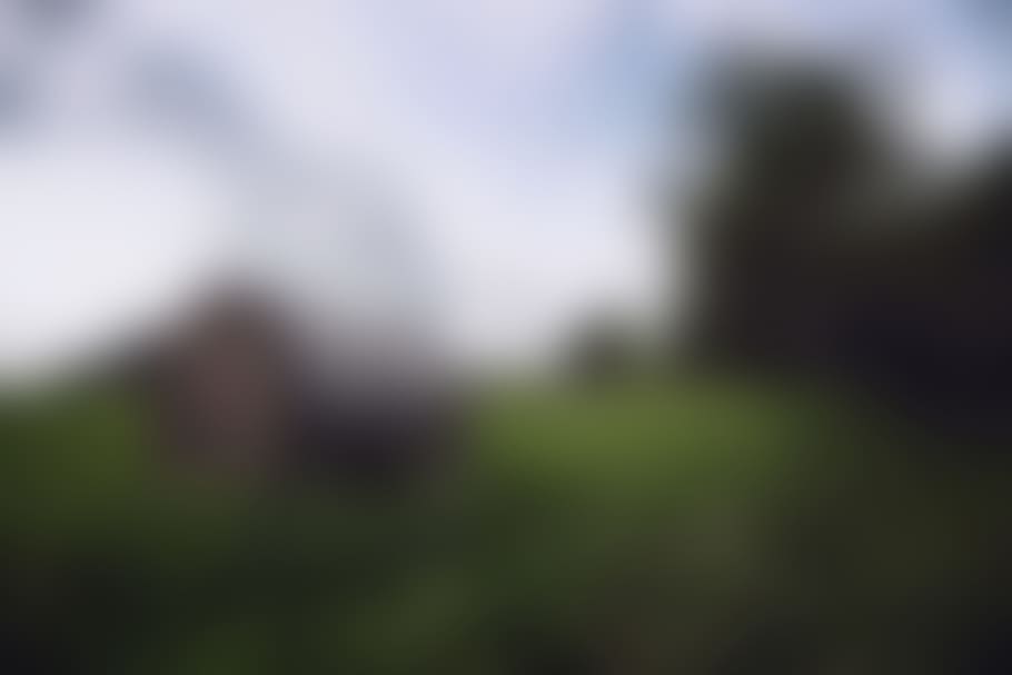 blurred, background, defocused, grass, adult, people, group of people HD wallpaper