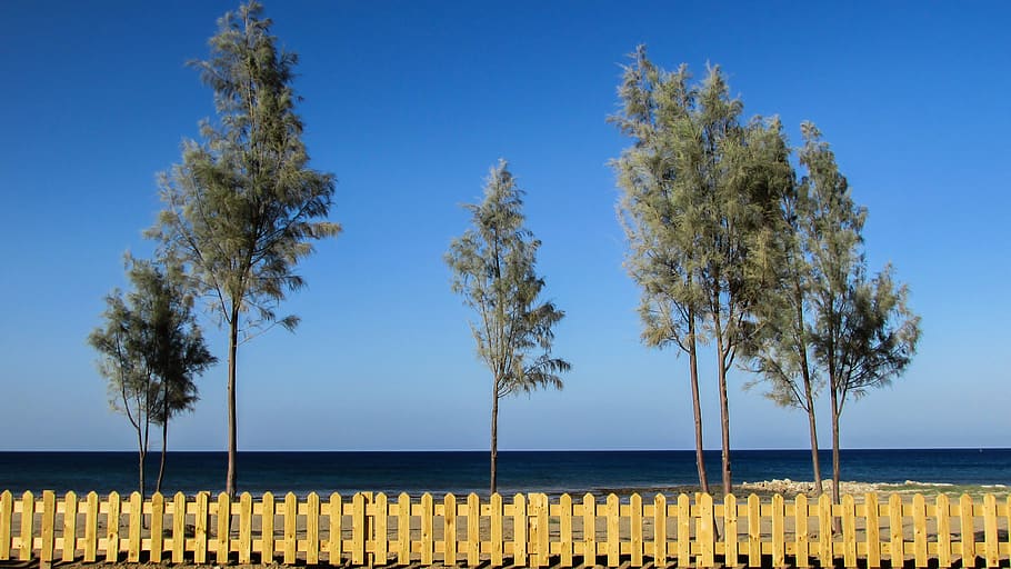 cyprus, ayia triada, beach, trees, fence, scenic, sea, water, HD wallpaper