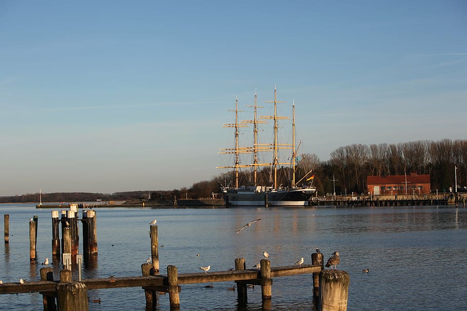 four master, lake, water, ship, travemünde, nautical Vessel HD wallpaper