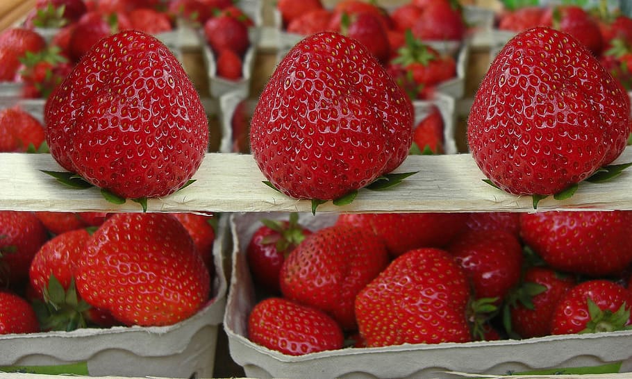 Strawberries, Red, Fruit, Food, summer, vitamins, fruits, frisch HD wallpaper