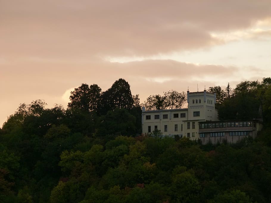 sunset, building, forest, romance, tree, building exterior HD wallpaper
