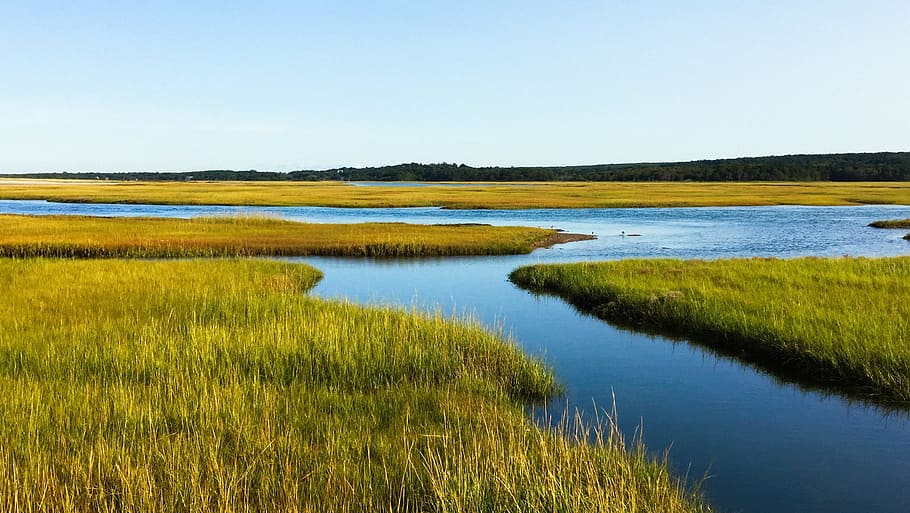 HD wallpaper: salt marsh, cape cod, ocean, massachusetts, nature, water ...