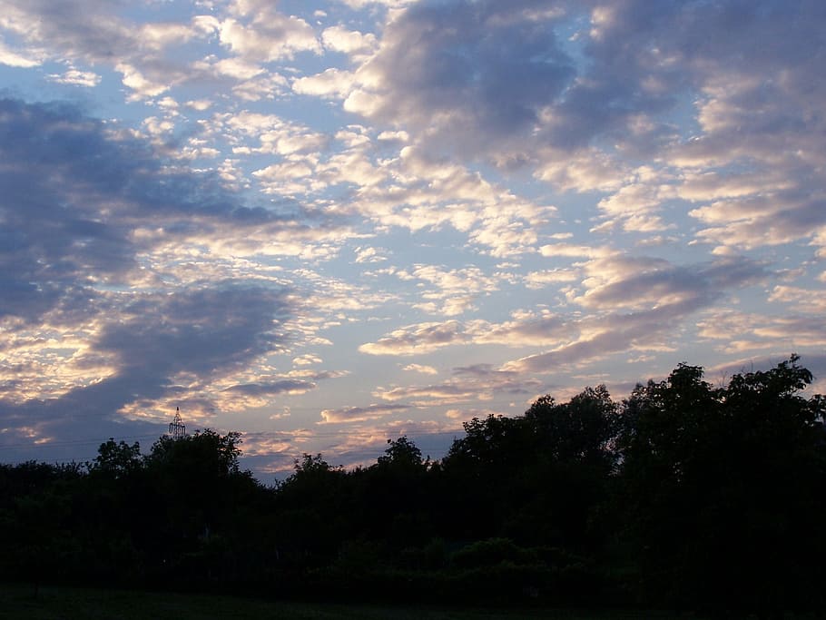 Clouds, Sun, West, Evening, the sun, sky, park, forest, evening sky HD wallpaper